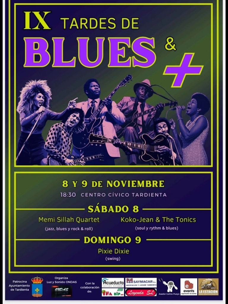 IX Tardes de Blues & + 